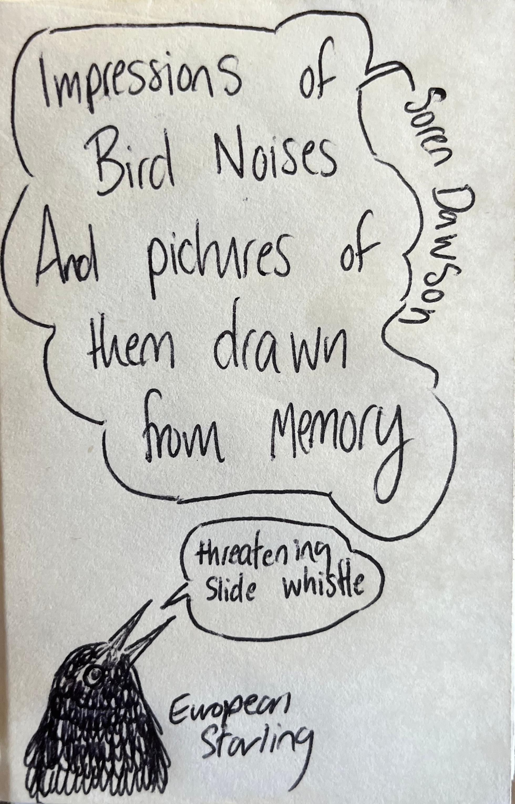 Impressions of Bird Noises and Pictures of them Drawn from Memory